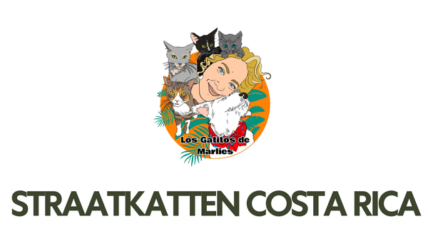 Straatkatten Costa Rica