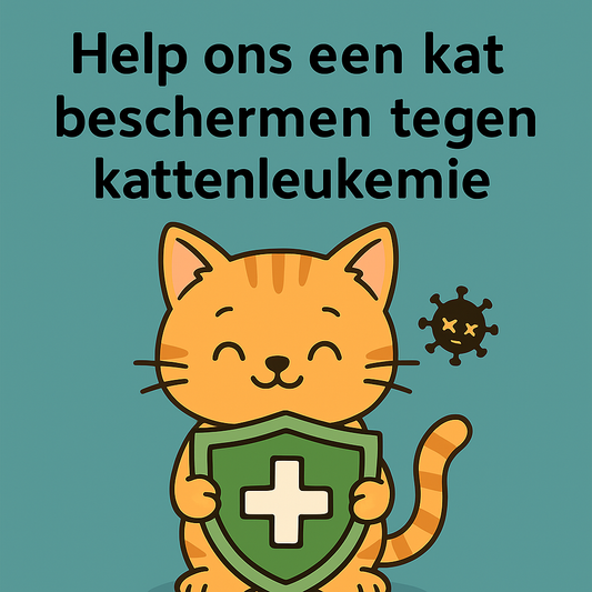 Help ons een kat te beschermen tegen kattenleukemie (FeLV).