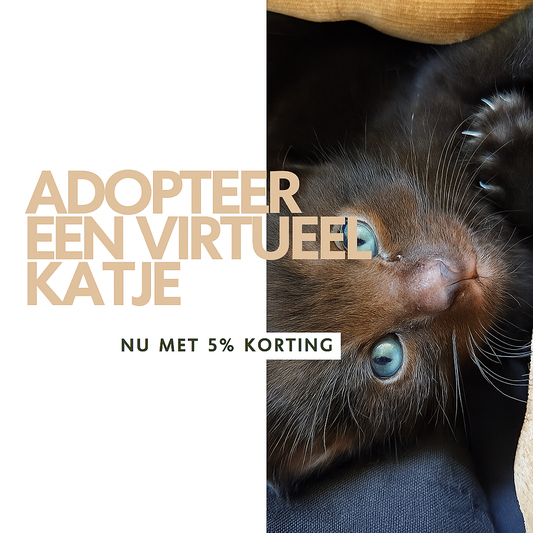 ✨ Virtuele Adoptie – Help een Katje op Afstand 🐾