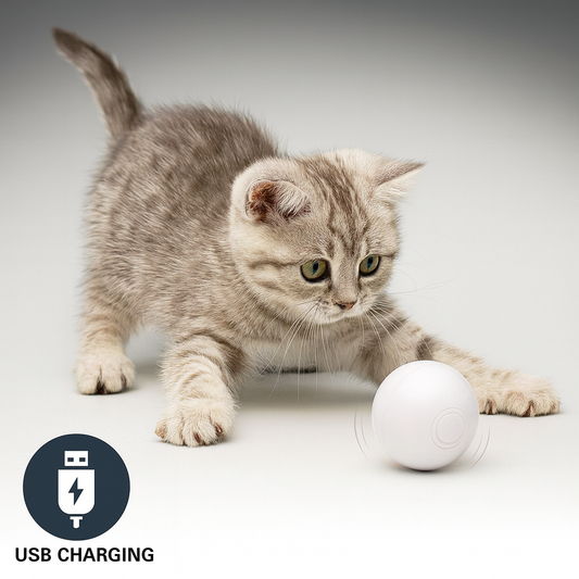 LED Laser Elektronische Speelbal