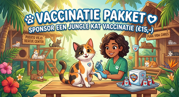 Word een Jungle Held: Bescherm een leven!